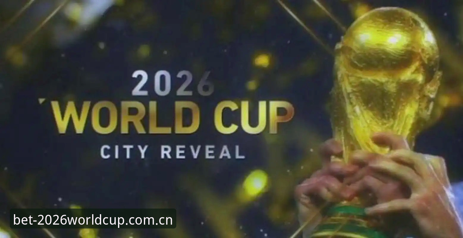 资深球迷分享：在2026世界杯官网看埃梅里封神之夜的真实体验